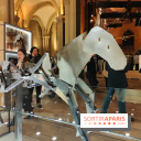 Zeus, chef d'œuvre d'artisans : une exposition sur le cheval des JO au musée des Arts et Métiers