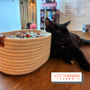 Le Chatelier  - IMG 2470