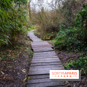 La source de l'Yvette : une statue mystérieuse dans les Yvelines - A7C05601