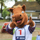 La Fête du Cheval, une journée familiale à l’Hippodrome d’Enghien-Soisy - BV BV 5627