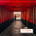 Passion Japon : exposition, installations immersives et street food japonaise à La Villette, à Paris - IMG 7253