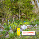 Le jardin botanique de Launay et arboretum de l'Université Paris Saclay à Orsay - les photos - A7C09556