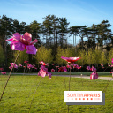 Hanami au Parc de Sceaux 2026, les cerisiers en fleurs et ses  animations