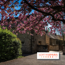 La Commanderie des Templiers de la Villedieu - Cité du Numérique des Yvelines  - A7C01724