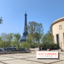 Le musée d'art moderne et ses collections à Paris