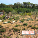 Les Loudges, les hébergements devant les loups arctiques au Zoo de Thoiry