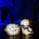 Brillance et transparence à la nouvelle galerie French Arts Factory