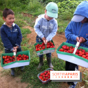 cueillettes des fraises autour de Paris