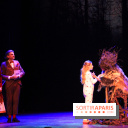 Emilie Jolie, la comédie musicale 2017/2018