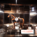 Exposition Hermès à tire-d'aile au Grand Palais