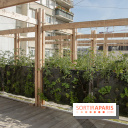 Sous les Fraises & So Ouest inaugurent la première ferme maraichère urbaine à Levallois-Perret : les photos