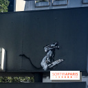 Banksy à Paris, les œuvres en photos