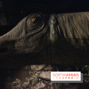 Dinosaure, la vie en grand au Muséum