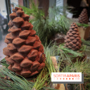 La Bûche de Noël du Prince de Galles 2018 by Nicolas Paciello