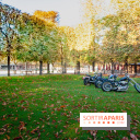 FIAC 2018 au Jardin des Tuileries : Olivier Mosset, Untitled (3 bikes), 2018