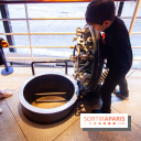 Sous l'Océan, l'exposition de l'Argonaute à la Cité des Sciences