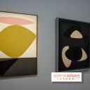 Exposition Vasarely Centre Pompidou, nos photos