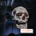 Exposition Préhistoire, un invention moderne au Centre Pompidou, les photos