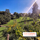 Parc des Buttes Chaumont