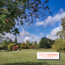 Le parcours des Arbres Admirables dans le domaine du château de Versailles