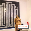 Walk the Line with L’ATLAS, l'epo au Musée en Herbe