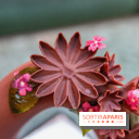 Pâques 2020 à l'InterContinental Paris Le Grand 