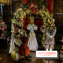 Photos : Vaux-le-vicomte en Lumières