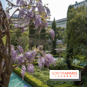 La Mosquée de Paris et son jardin en fleurs
