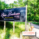 Rosa à l'Est - Porte Jaune, nos photos