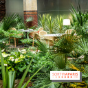 La Terrasse estivale du 19.20  au Prince de Galles Paris