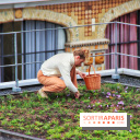 Des ateliers hors du temps pour cultiver le safran sur les toits de Paris