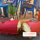 Bûches de Noël 2021 et galette des Belles Envies