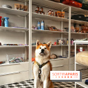 Barkers+Brothers, le concept store canin pour chouchouter son chien à Montmartre