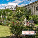 Photos La roseraie du Jardin des Plantes 