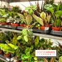 Plantes pour Tous, les prochaines ventes de plantes à partir de 2€ à Paris