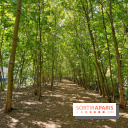 Balade sur la Petite Ceinture du 14 au 16e arrondissement : un sentier nature dépaysant