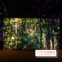 Exposition au Palais de Tokyo : Shéhérazade, la nuit - nos photos