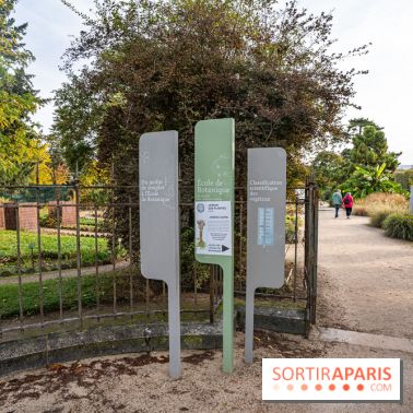 Le Jardin Alpin caché du Jardin des Plantes