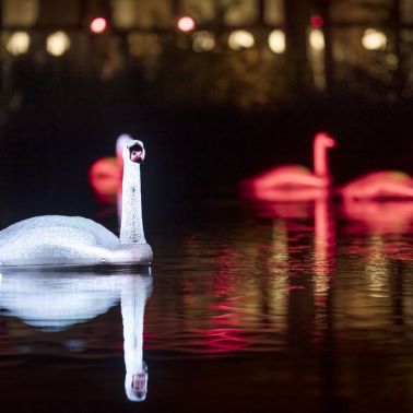 Annonce Lumières en Seine 2022