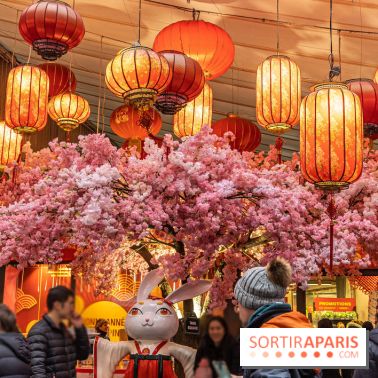 Paris Food Tour spécial 13e, quartier chinois - Tang Frères