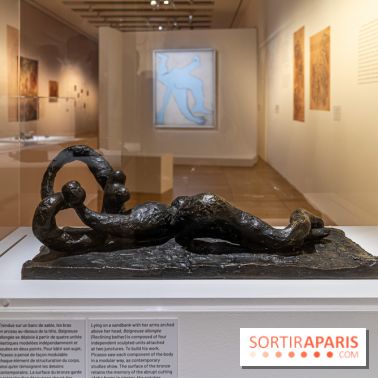 Picasso et la Préhistoire, les photos de l'exposition au Musée de l'Homme