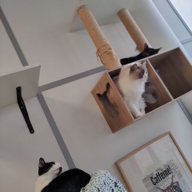 Le Moustache Pension - IMG20221226144447