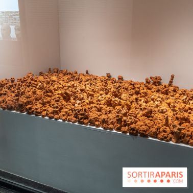 Exposition Philippe Cognée au Musée Bourdelle - La peinture d'après -  A7C5293