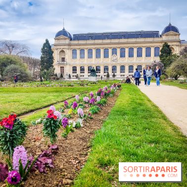 Félins, l'exposition qui nous fait craquer au Muséum national d'Histoire naturelle - photos - IMG20230321111256
