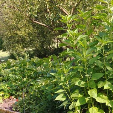 Le centre relaxant H2E et Gîte des Prés de Garnes - 20180718 174343