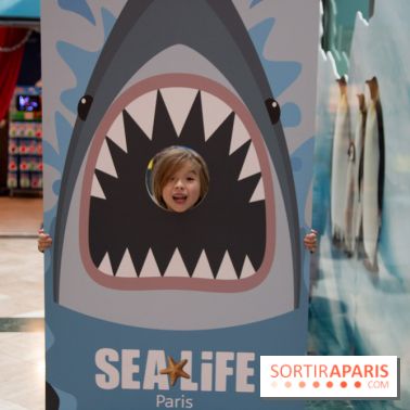 Aquarium Sea Life