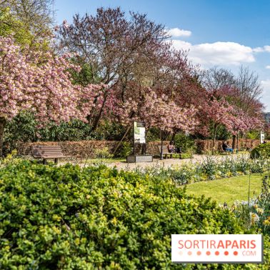 Parc de Bécon à Courbevoie - Pavillon des Indes - Cerisiers en fleurs