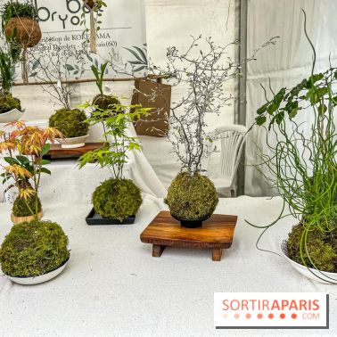 Esprit Jardin à Versailles - Marché aux plantes et animations