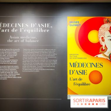 Médecines d'Asie, l'art de l'équilibre : l'exposition bien-être étonnante du musée Guimet - photos