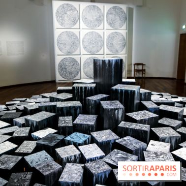 Carte blanche à Park Dong Soo au musée Guimet, nos photos - IMG 0095